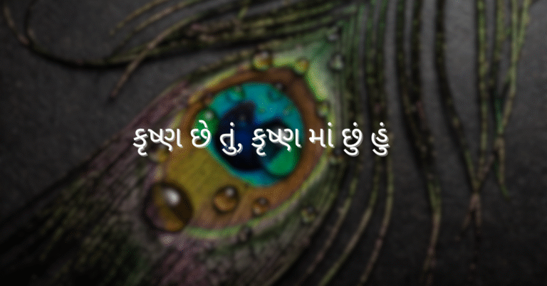 કૃષ્ણ છે તું, કૃષ્ણ માં છું હું 