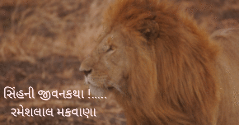 સિંહની જીવનકથા !…..રમેશલાલ મકવાણા 