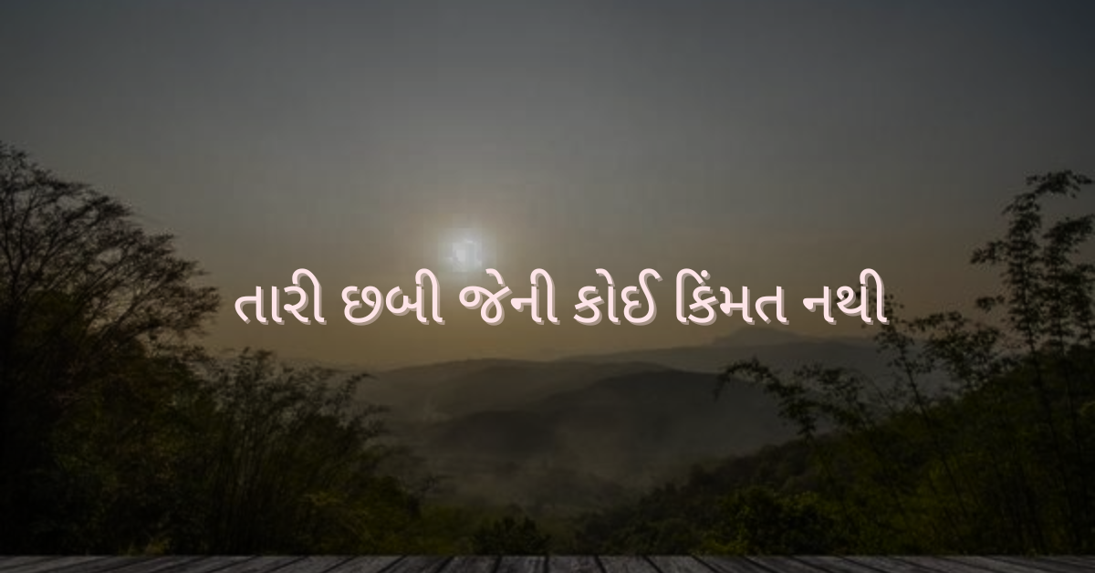 તારી છબી જેની કોઈ કિંમત નથી 