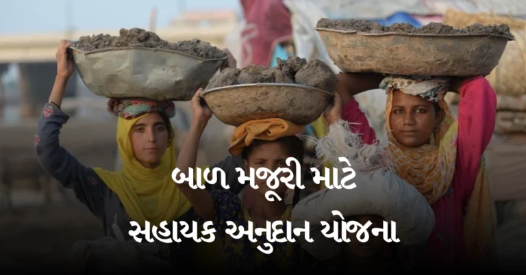 બાળ મજૂરી માટે સહાયક અનુદાન યોજના