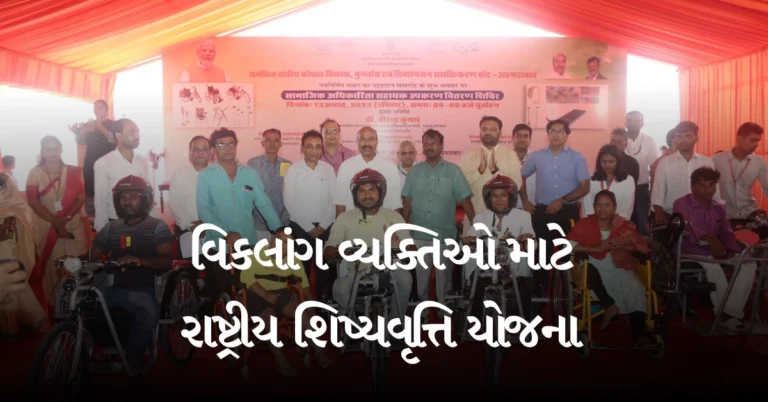 વિકલાંગ વ્યક્તિઓ માટે રાષ્ટ્રીય શિષ્યવૃત્તિ યોજના 
